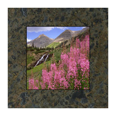 Pink Flowers by David Clack