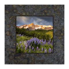 Purple Flowers with Mountains by David Clack