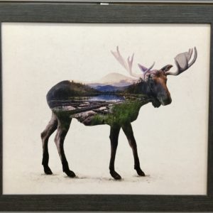 Bull Moose by Davies Babies