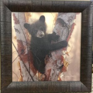 Curious Cub I by Colin Bogle