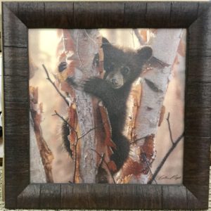 Curious Cub II by Colin Bogle