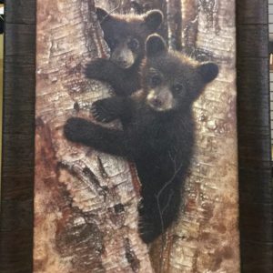 Curious Cubs by Colin Bogle