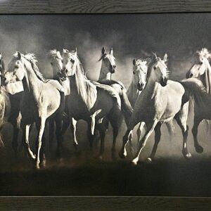 Dream Horses by Lisa Dearing