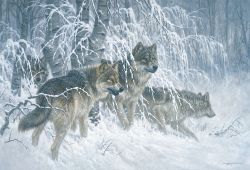 Edge of Winter by Larry Fanning