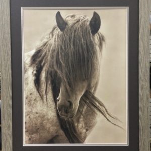 Freedom by Lisa Dearing