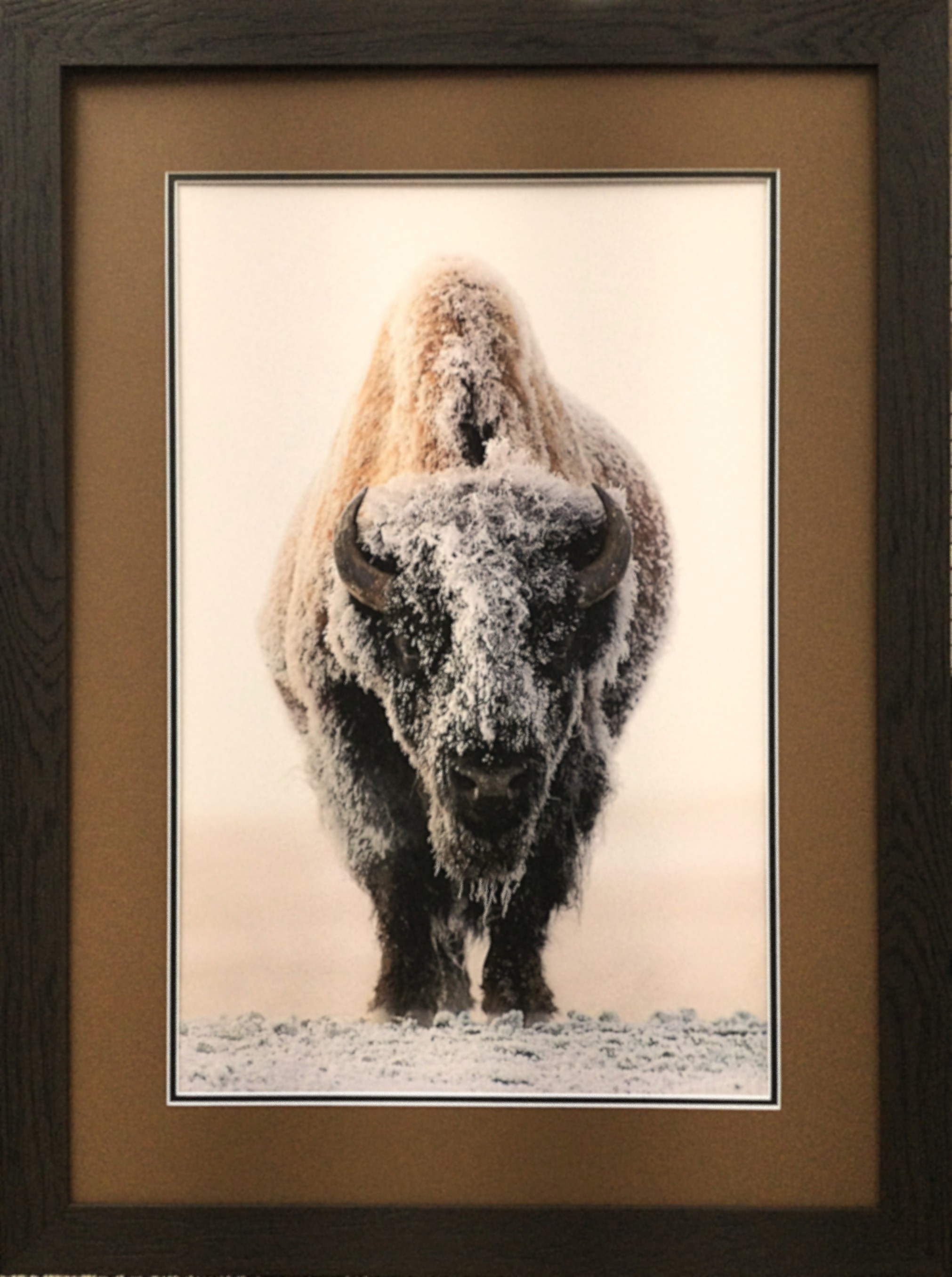 Ghost of the Plains by Gary Crandall