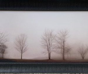 Misty Meadow by Erin Clark