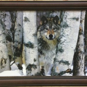 Mountain Ranger by Art Wolfe