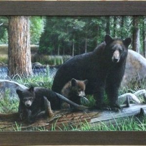 New Discoveries by Kevin Daniel