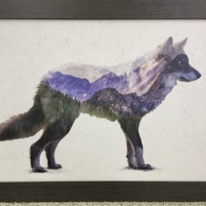 Rocky Mountain Grey Wolf by Davies Babies