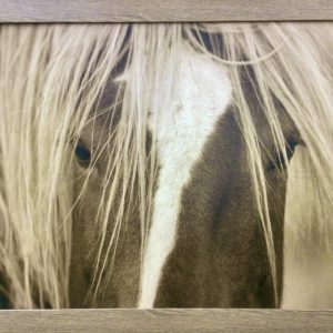 The Blonde by Lisa Dearing