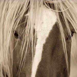 The Blonde by Lisa Dearing