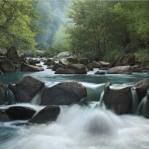 Secret Passage by Mike Jones