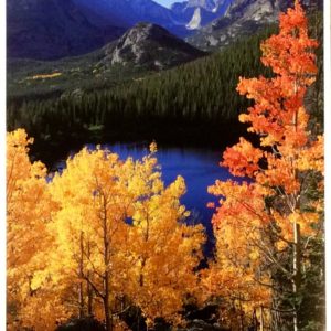 Autumn Symphony by Dick Orleans