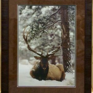 Samson by Scott Pope