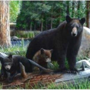 New Discoveries by Kevin Daniel