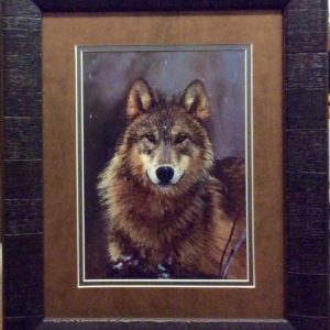 Woodland Pride by Art Wolfe