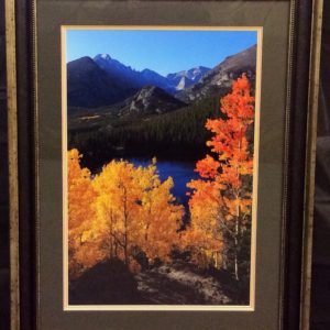 Autumn Symphony by Dick Orleans