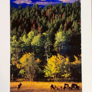 Long's Peak by Scott Pope