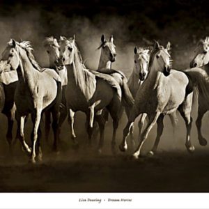 Dream Horses by Lisa Dearing