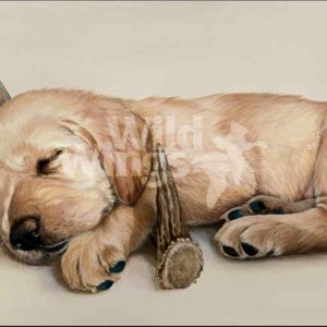 Rack 'Em Up - Yellow Lab by Larry Beckstein