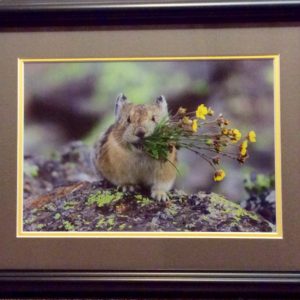 A Bunch of Sunshine by Dick Orleans