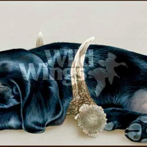 Rack 'Em Up - Black Lab by Larry Beckstein