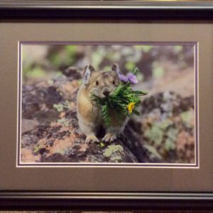 A Bouquet for You by Dick Orleans