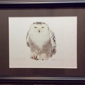 I'm Watching You by Bruce Lichtenberger