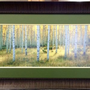 Aspens, Ashley by Alain Thomas