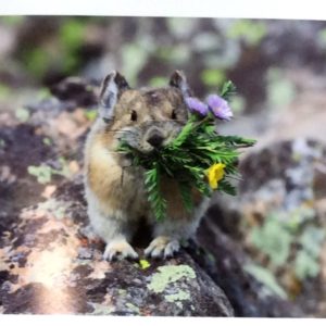 A Bouquet for You by Dick Orleans