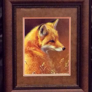 Curious Red Fox by Joni Johnson-Godsy