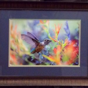 Hummingbird Wonderland by Dick Orleans