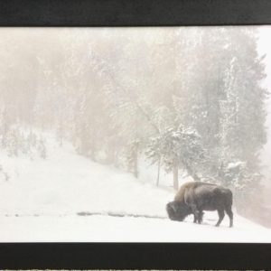 Winter's Robe by Gary Crandall