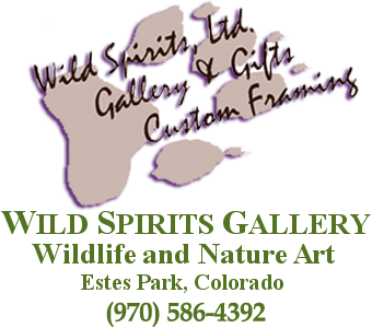 Wild Spirits Art Gallery in Estes Park