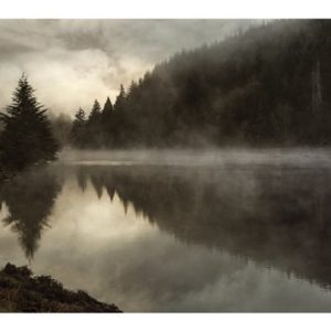 Coos Fog by David Lorenz Winston