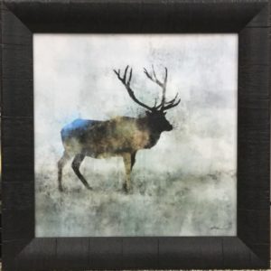 Solo Stag by Ken Roko
