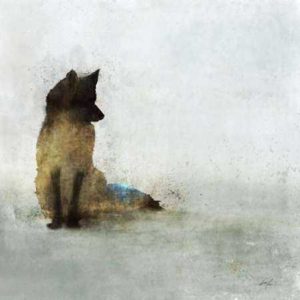 Friendly Fox by Ken Roko