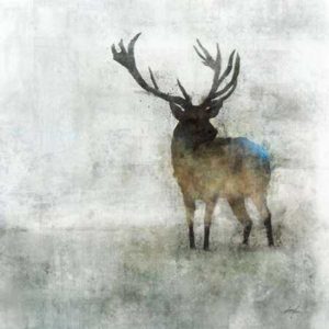 Silent Stag by Ken Roko
