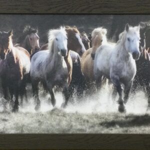 Renegades by Lisa Dearing