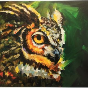 Owl by Diane Whitehead