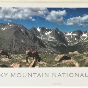 View From The Top by Louis Viggio