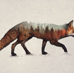 The Red Fox by Davies Babies