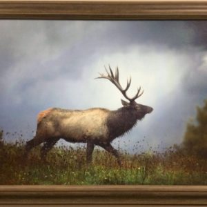 The Elk by Carrie Ann Grippo-Pike