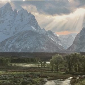 Buffalo Crossing by Phillip Philbeck (Signed & Numbered)