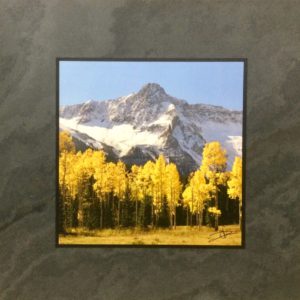 Above the Aspen by David Clack