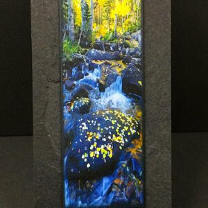 Glacier Creek by David Clack