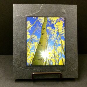 Sunburst Through Aspen by David Clack