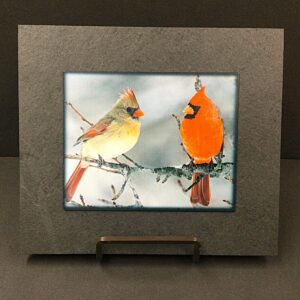 Winter Cardinals by Illustrated Light