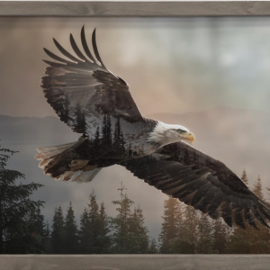 Eagle Double Exposure